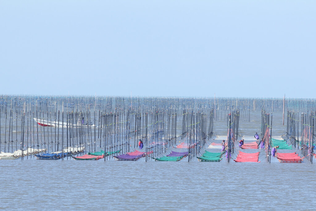 海に浮かぶ絨毯が現れました